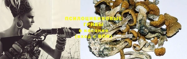 марки lsd Алексин