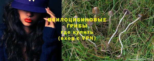 марки lsd Алексин